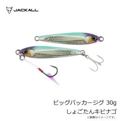 ジャッカル　ビッグバッカージグ 30g 金井ルビーUV