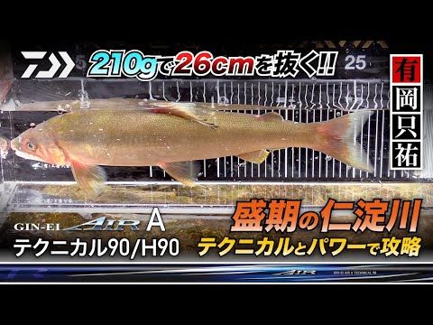 ダイワ(Daiwa) 銀影エア A XH 90 Qの釣具販売、、通販ならFTO 