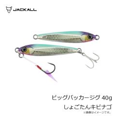 ジャッカル　ビッグバッカージグ 40g 金井ハーフグロー