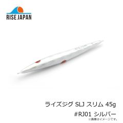 ライズジャパン ライズジグ SLJ スリム 45g #RJ01 シルバー