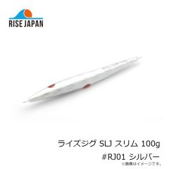 ライズジャパン ライズジグ SLJ スリム 100g #RJ01 シルバー 