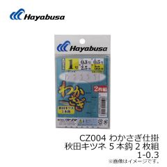 ハヤブサ　CZ004 わかさぎ仕掛 秋田キツネ 5本鈎2枚組 1-0.3